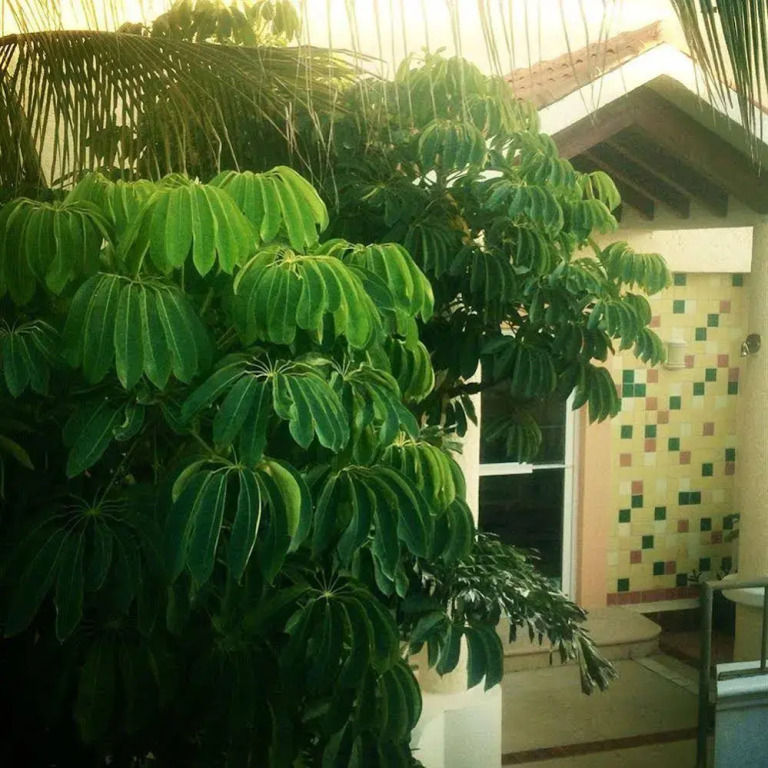 Marisol Hotel Boutique