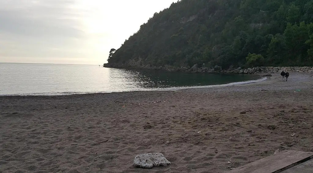 "Il nespolo"