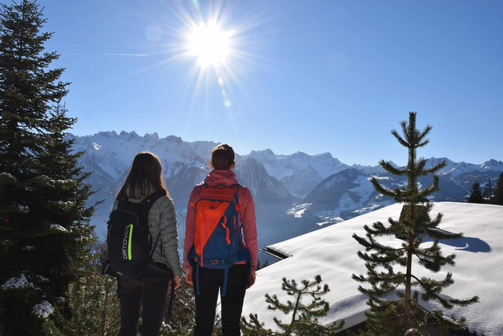 Ferienwohnung Alpblick