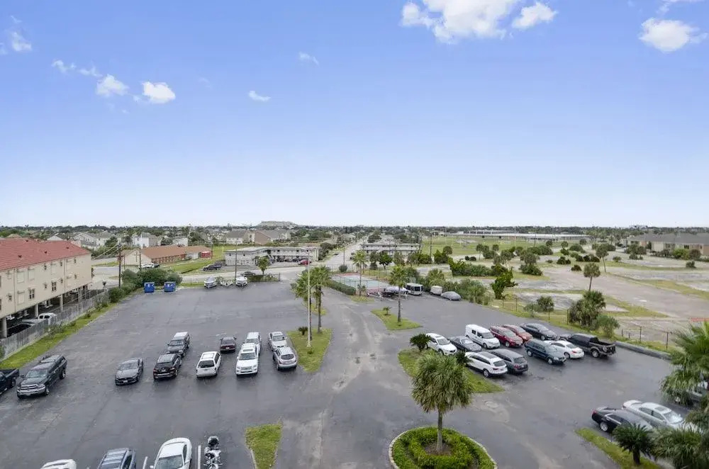 Panorama Palms
