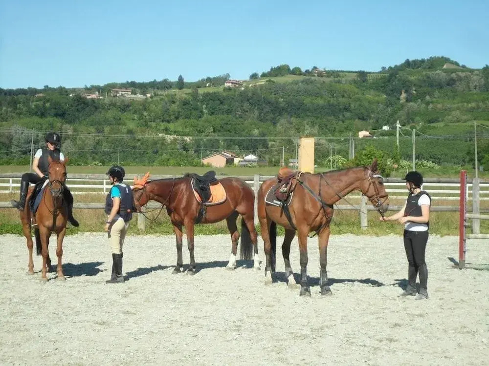 Agriturismo Isorella