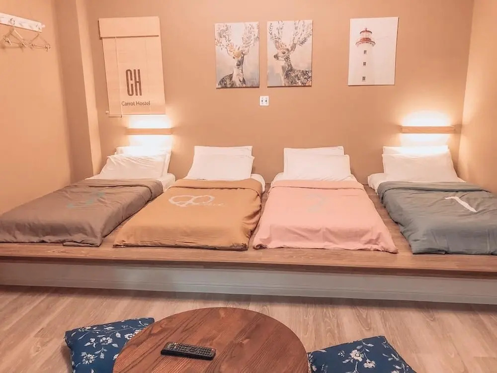 蘿蔔民宿Carrot Hostel - 寵物友善民宿