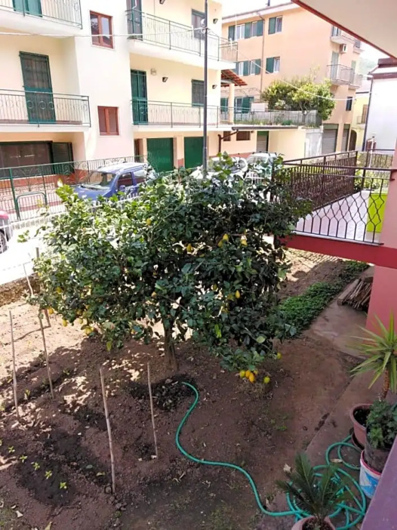 Nilu' E Sagio'
