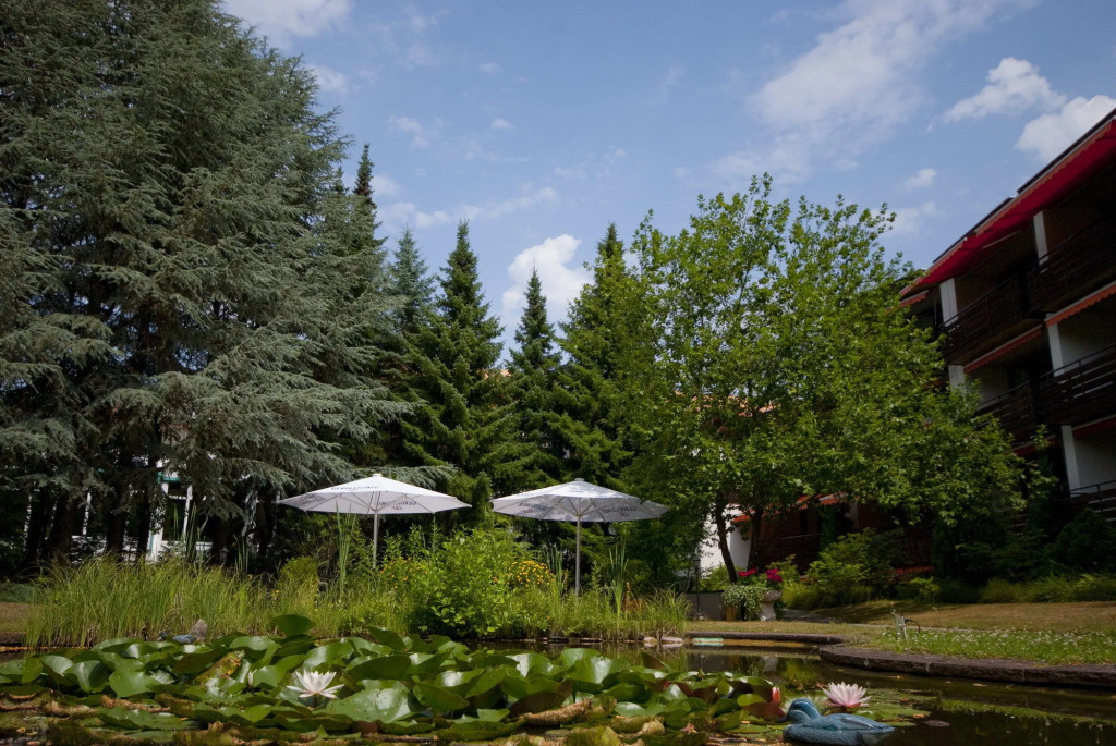 VitalHotel Ascona