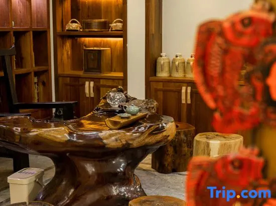 Anji Double Fish Hall Hot Spring Resort B&B (Longwangshan Canyon Drift Shop)