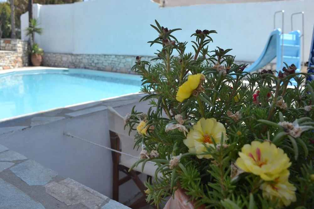 Hotel Bilia
