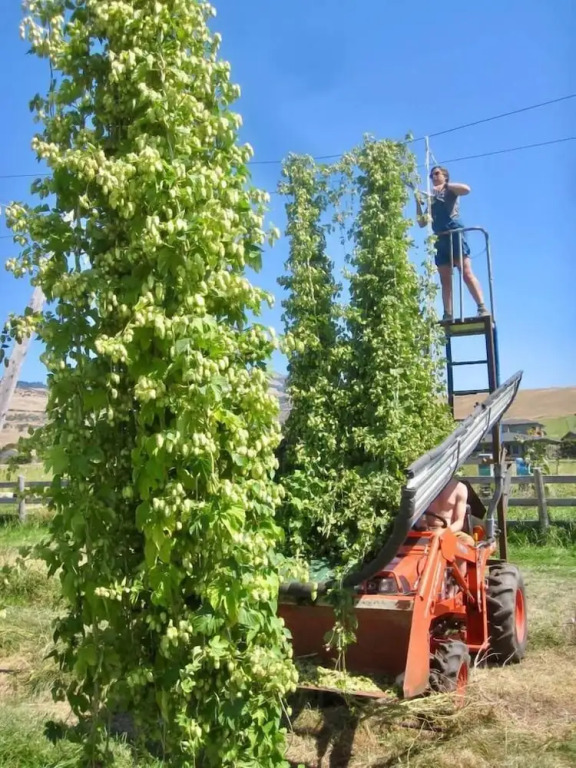 Hopyard View Farm - A Farm Experience in Ashland