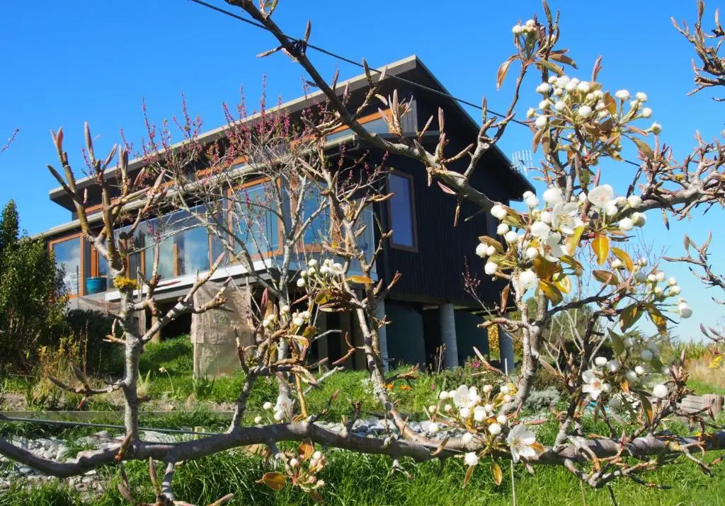 Kotare Bandb (Adults Only)