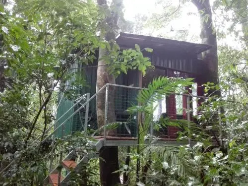 The Green Tree Lodge