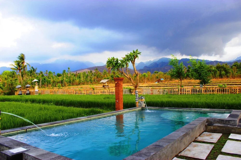 Umma Bali Menjangan Retreat