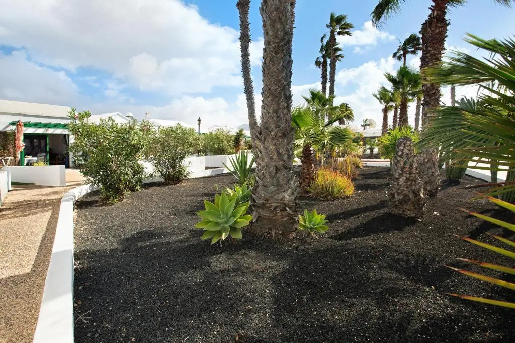 Jardin del Sol 22