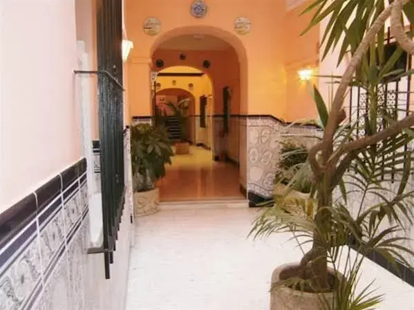 Sanvi Xerez Centro