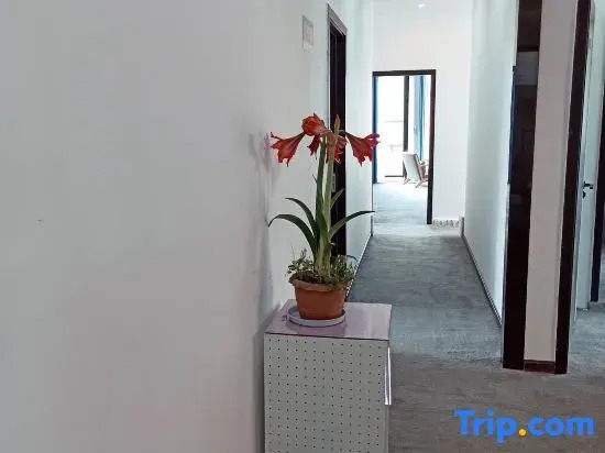 Shangli ancient town water bay green home stay