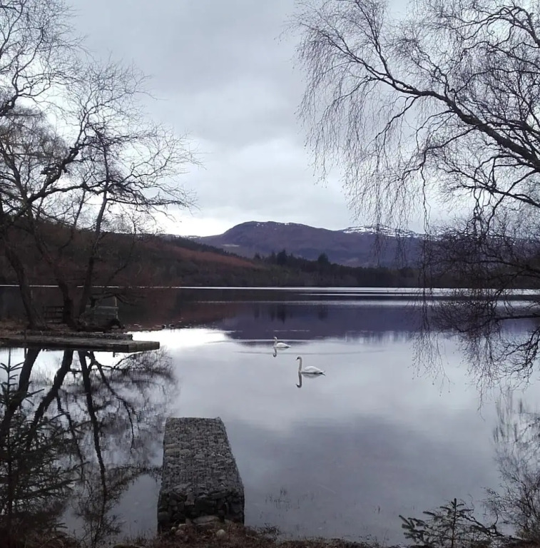 Juniper Hill Loch Achilty