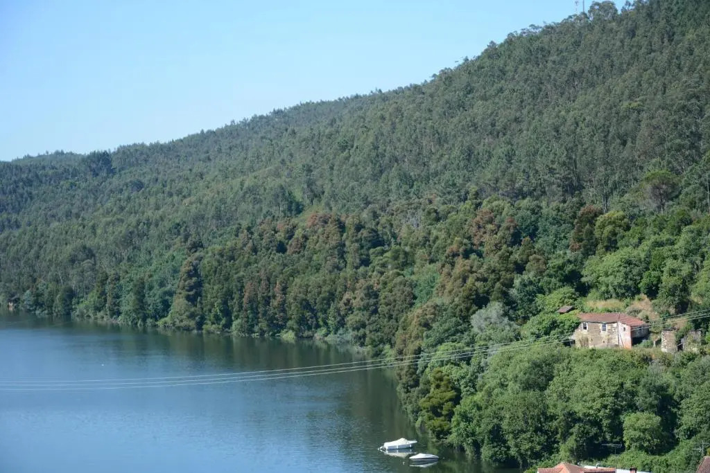 Figurino do Douro