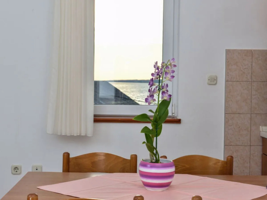 Apartment Bonex Privlaka 25554