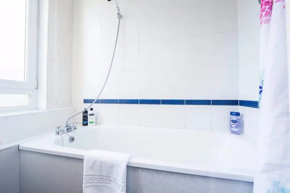 1 Bedroom Flat Near Haymarket