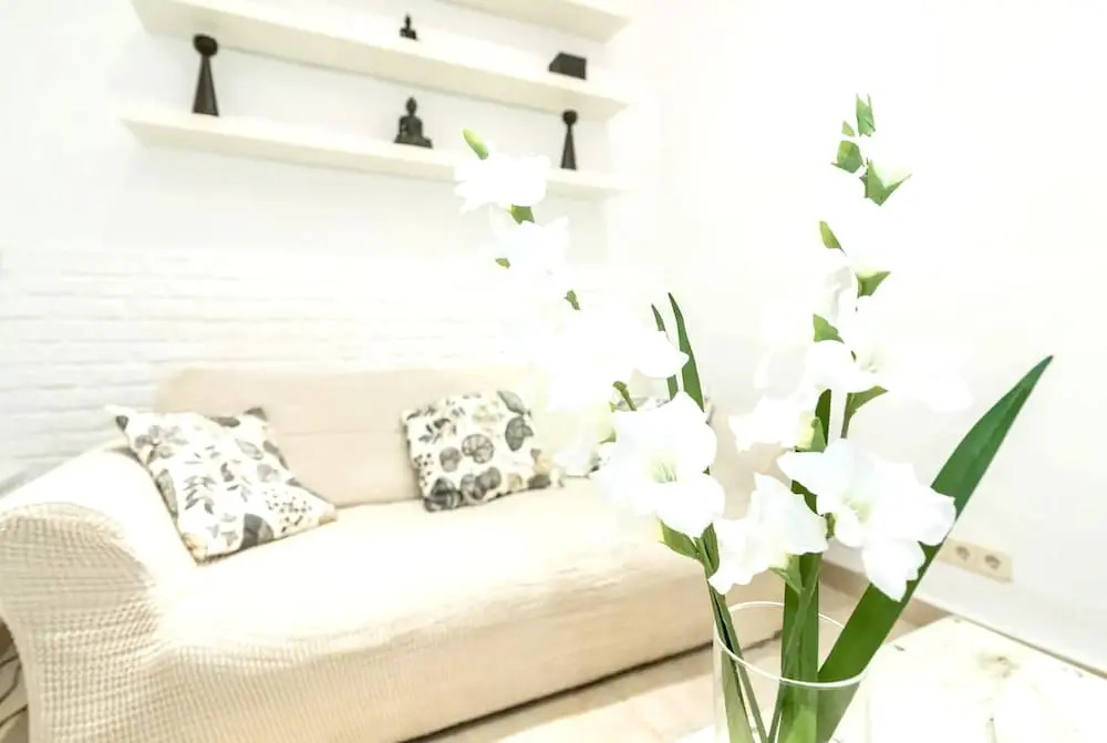 Apartment with One Bedroom in Madrid