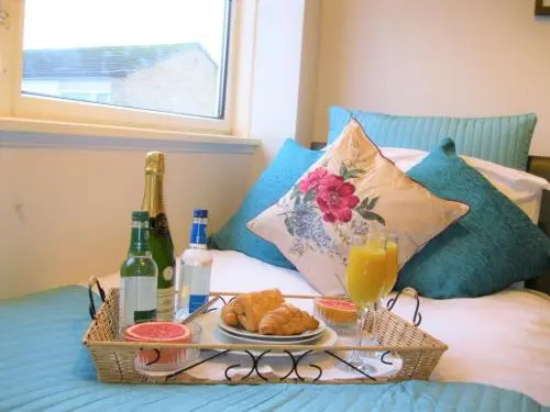 Airport/University Luxury Apartment 1
