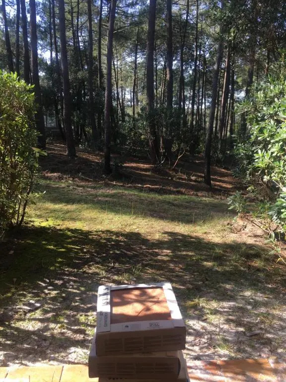 ***L'orée des Pins*** Appartement T2 en RDC avec jardin REFAIT A NEUF