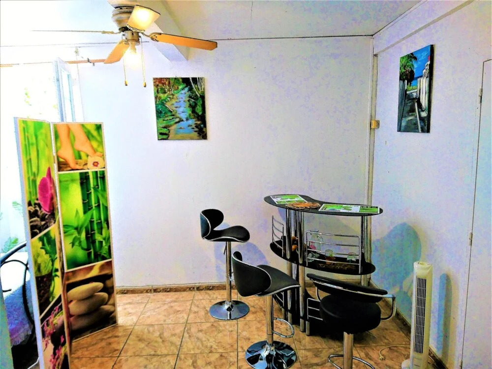 Studio in Fort-de-france, With Wonderful City View, Enclosed Garden an