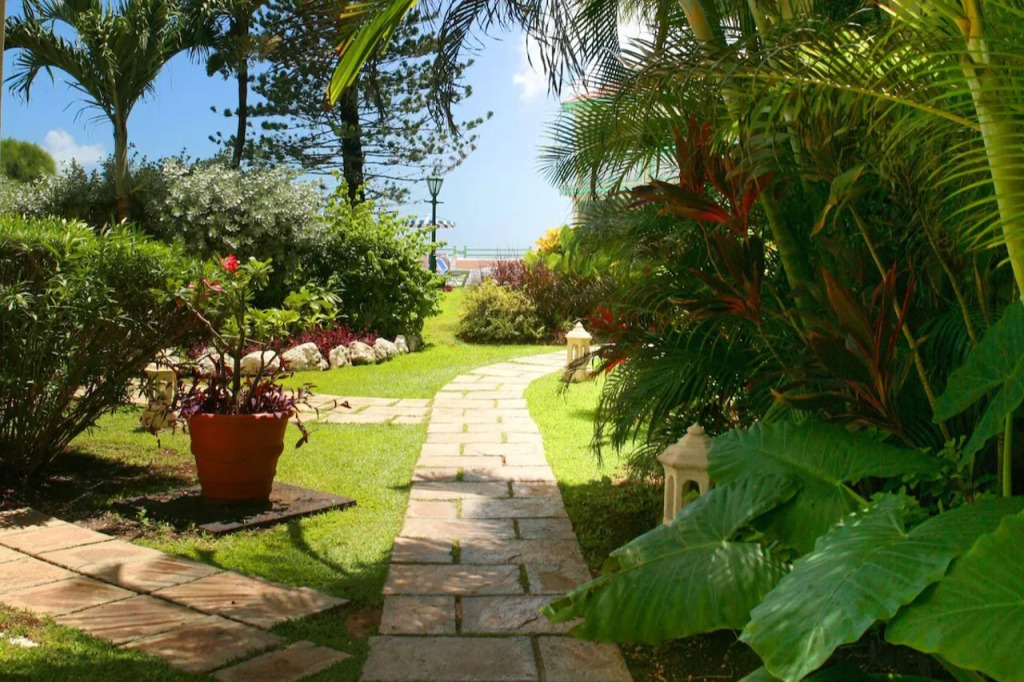 Blue Orchids Beach Hotel