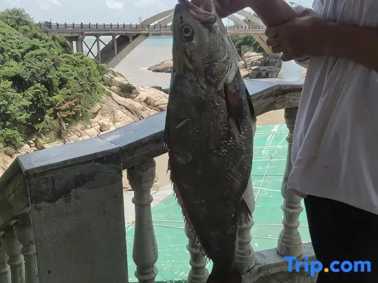 Wenling Shitang Peninsula Homestay
