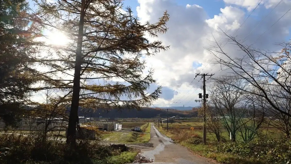 Maple Farm