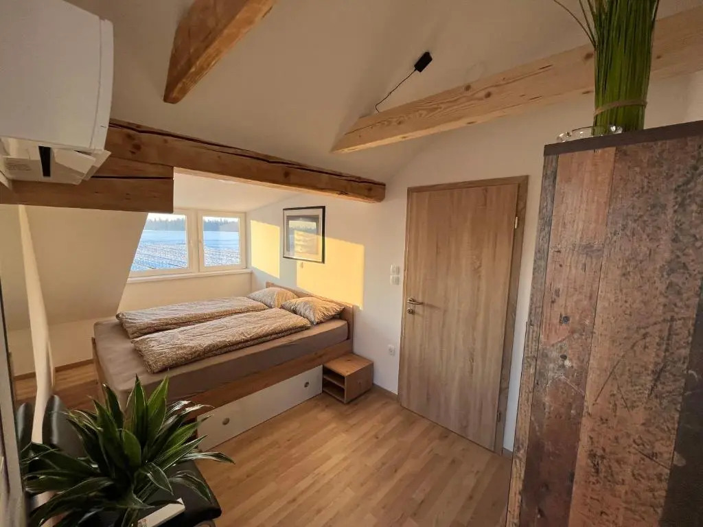 Apartma AJJA