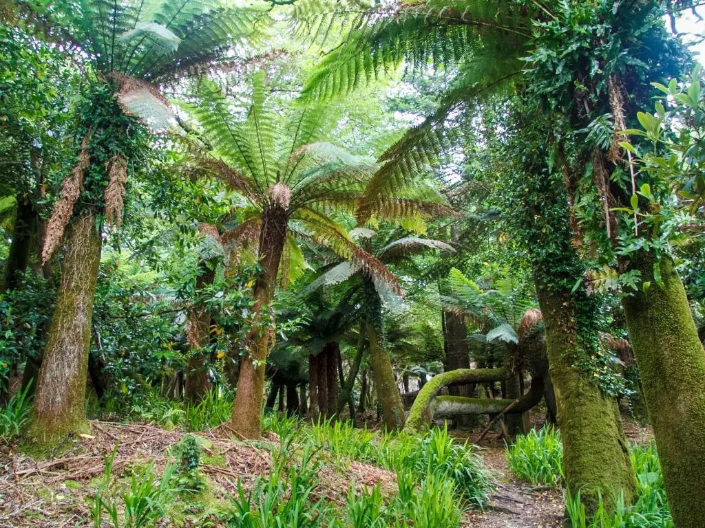 Kells Bay House and Gardens