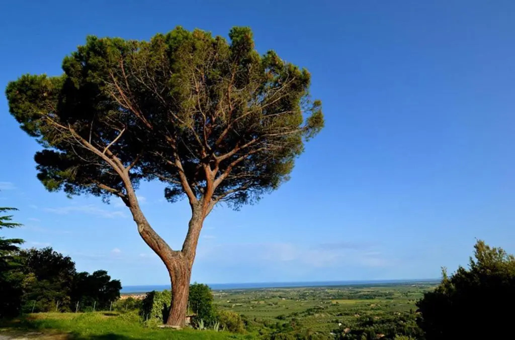 Agricamping La Gallinella