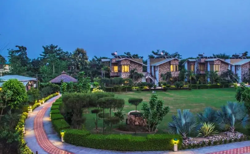 The Roar Resort