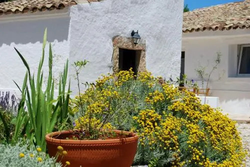 Farmhouse Of The Palms