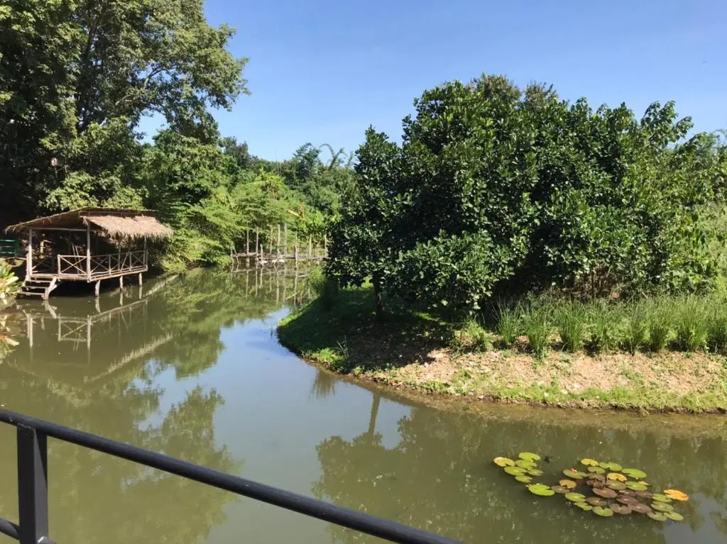 Dreamhome Chiangdao