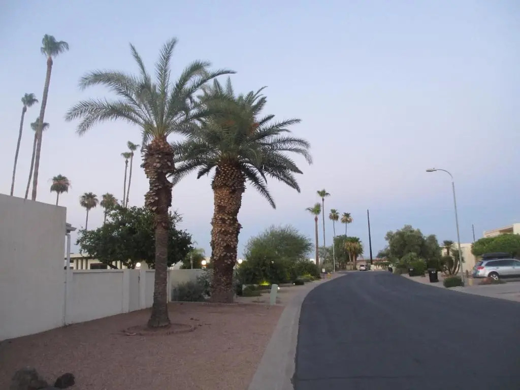 4100 plus SQFT Art Museum Property in Downtown Scottsdale