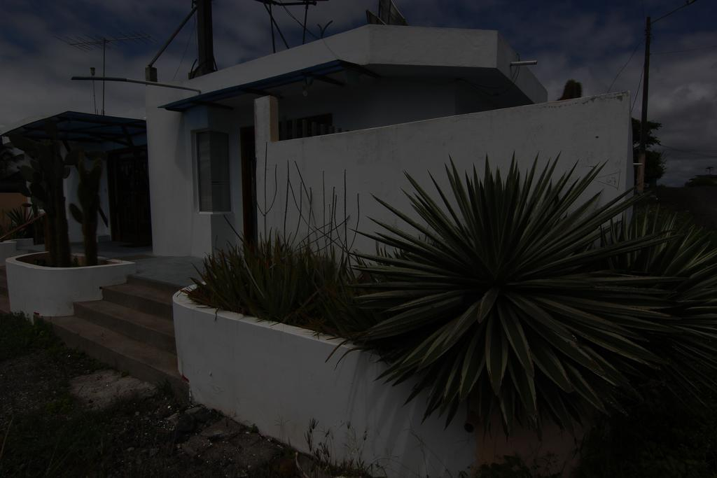 Lava Lizard Guesthouse