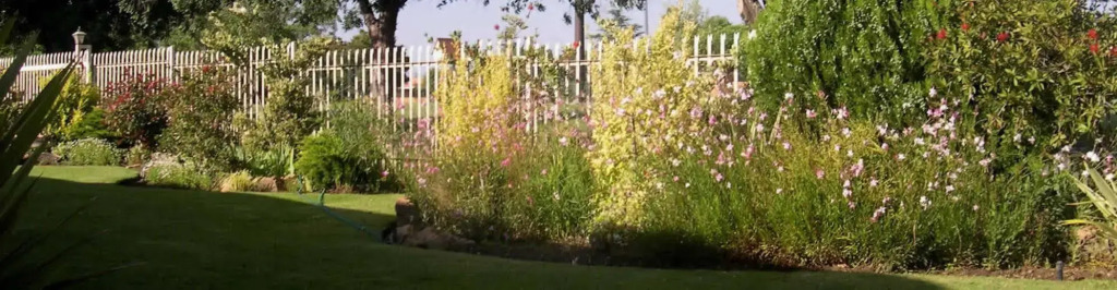 Birch Bush B&B