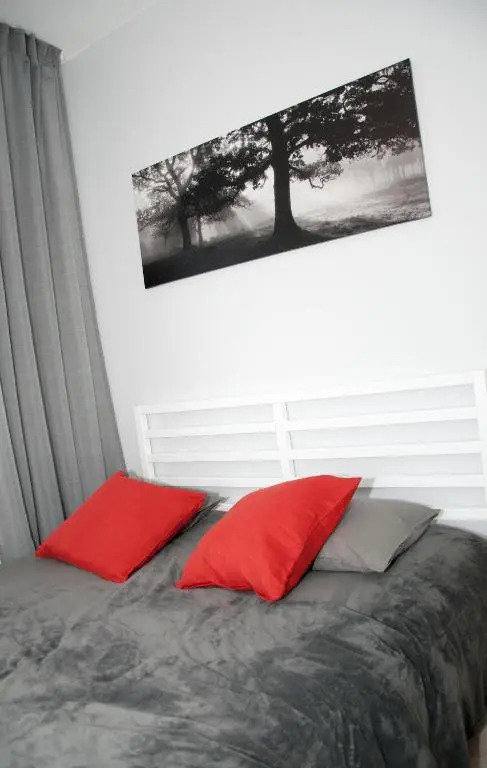 Auras apartment in the center of Vilnius