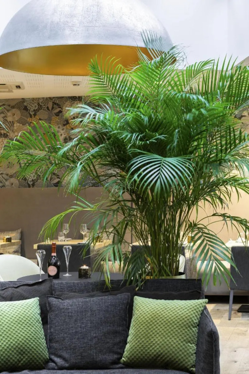 Edgar Hôtel & Spa - Table Gastronomique