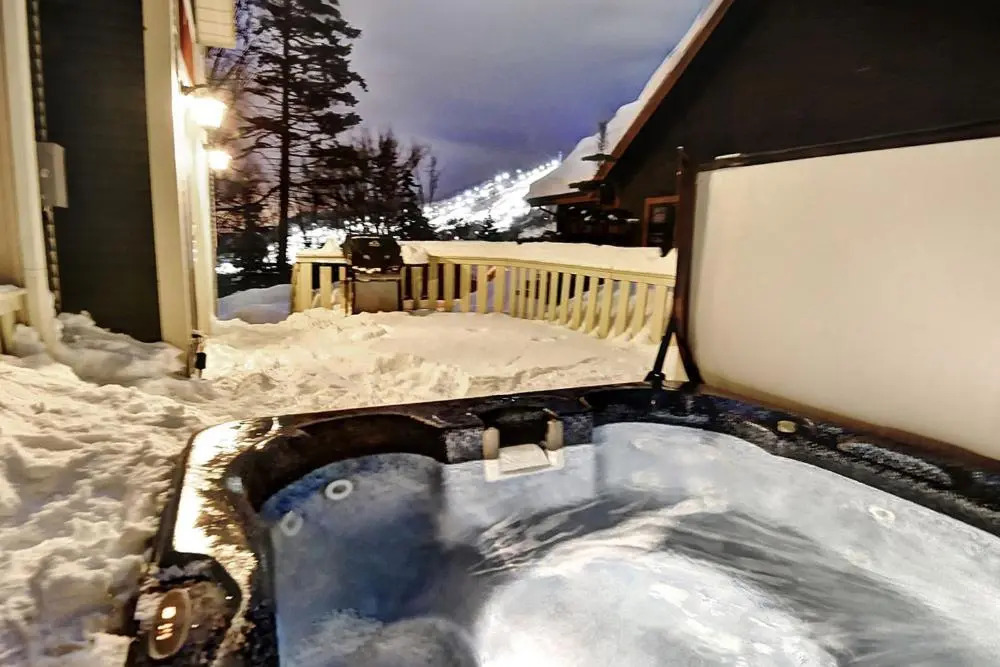 Chalets Alpins - 25 Chemin des Skieurs