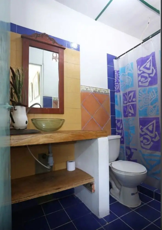 Hostal Las Camelias Salento - Hostel