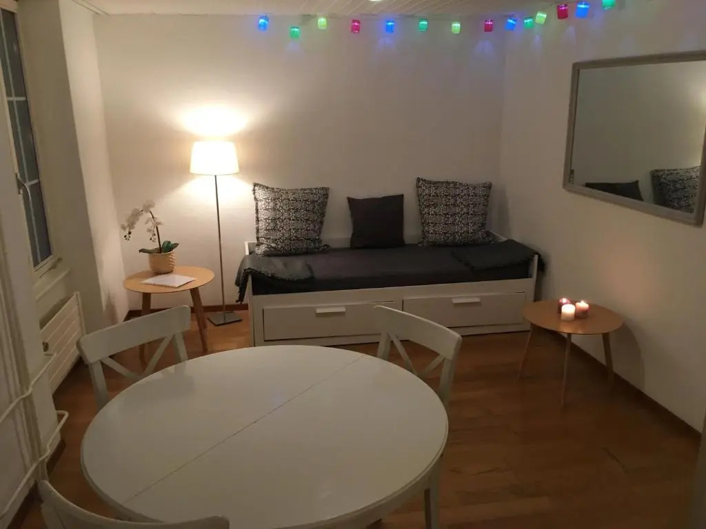 Parking voiture & Appartement 2pcs Lausanne centre
