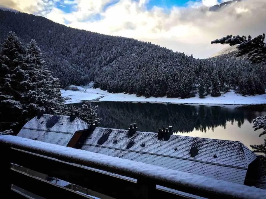 Adorable Chalet Sur Le Lac de Payolle