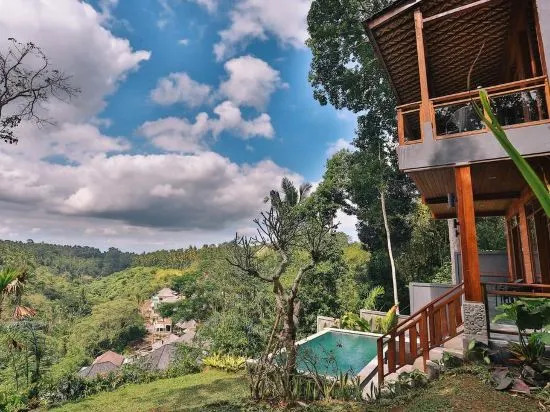 Bali Ubud Villa View
