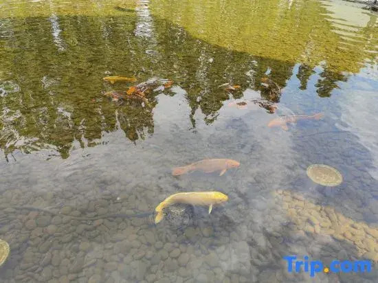 Hangzhou Xihu Scenic Area Hong'er Farm stay