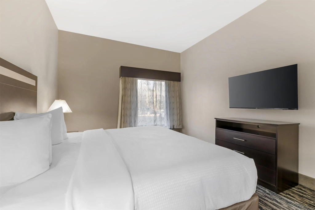 Best Western Plus McDonough Inn & Suites