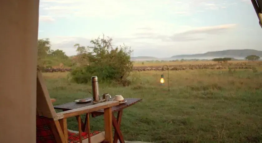 Camp Zebra