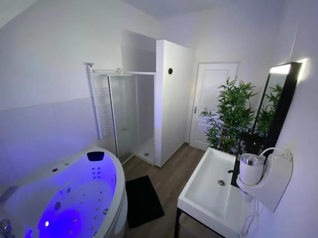 Zen - Roubaix-Lille - Balneo - Home Cinema - Billard
