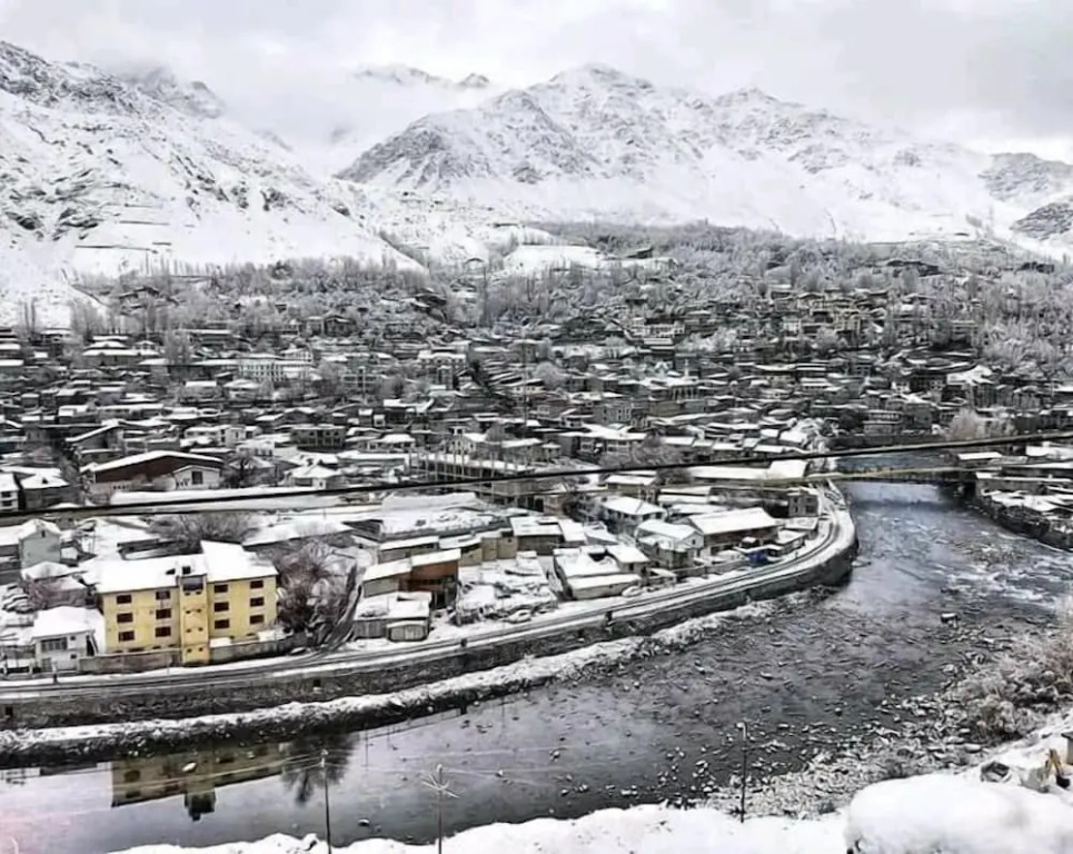 Hotel The Kargil