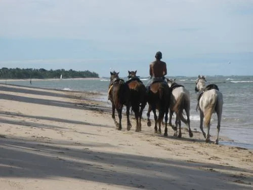 Pousada Sol da Terra